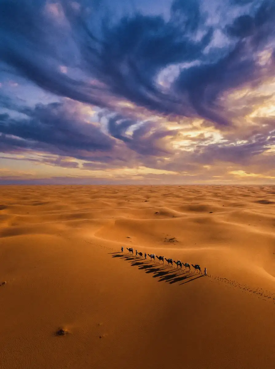 纪录片《丝路回响》 - h动漫 项目